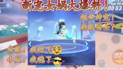 宠物女娲爆料网站大全视频,揭秘热门视频平台精彩内容